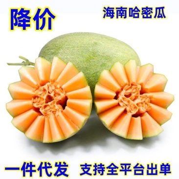 一件代发海南哈密瓜西州蜜瓜25号供电商各大平台直播