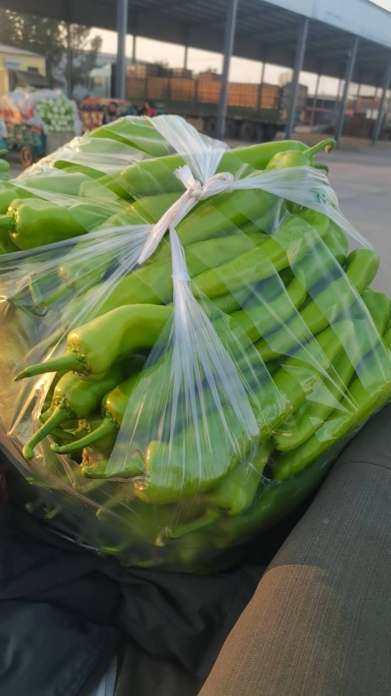 章丘大白菜，欢迎新老客户致电采购，量大，品质好，