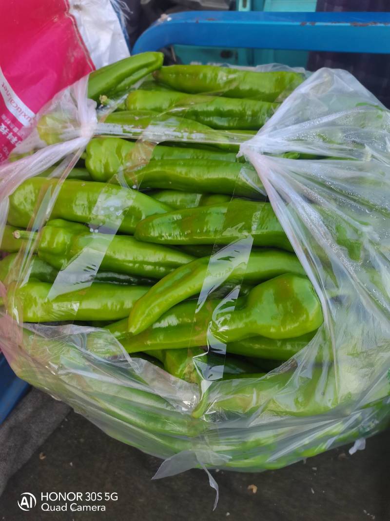 章丘大白菜，欢迎新老客户致电采购，量大，品质好，