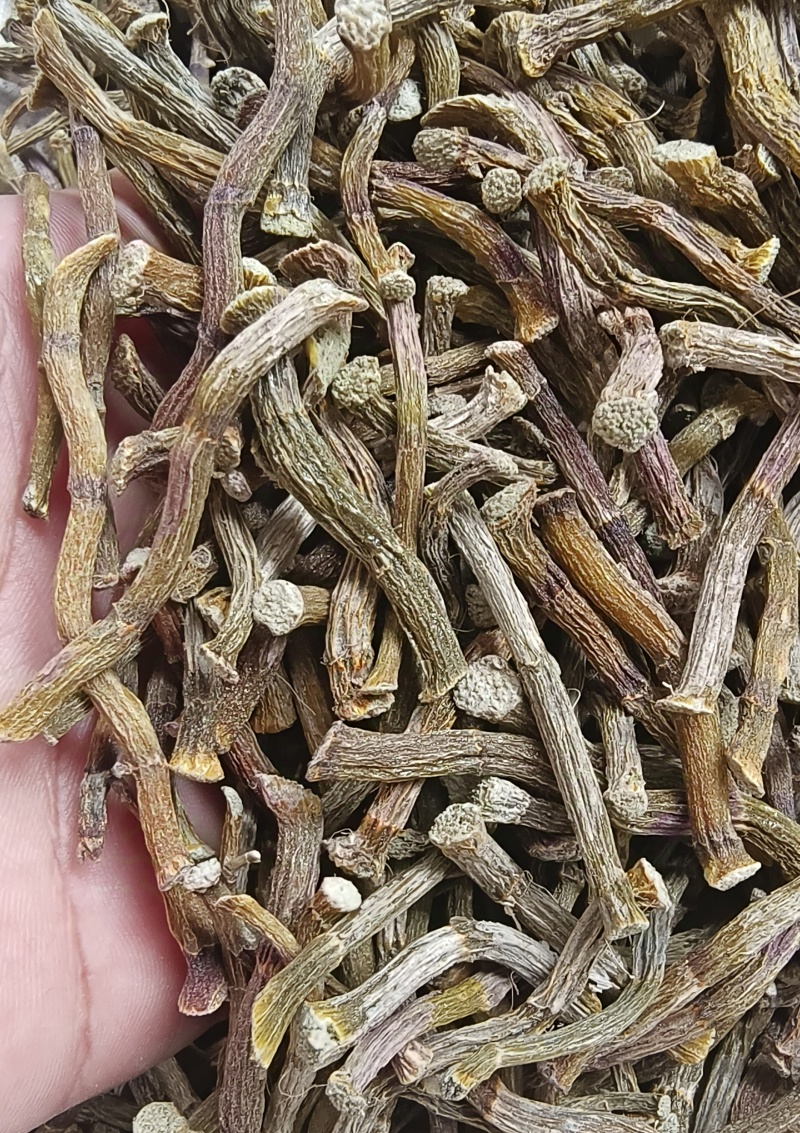 云南铁皮石斛干条克胶多石斛鲜条枫斗石斛花石斛干条可代磨