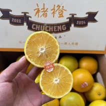 褚橙