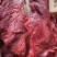 【卤味】猪肉猪肉大块麻辣五香现货批发