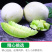 一件代发海南玉菇甜瓜当季时令新鲜水果供电商各大平台