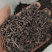 桂树子桂皮子桂子需要的可以下单，数量有限，先到先得