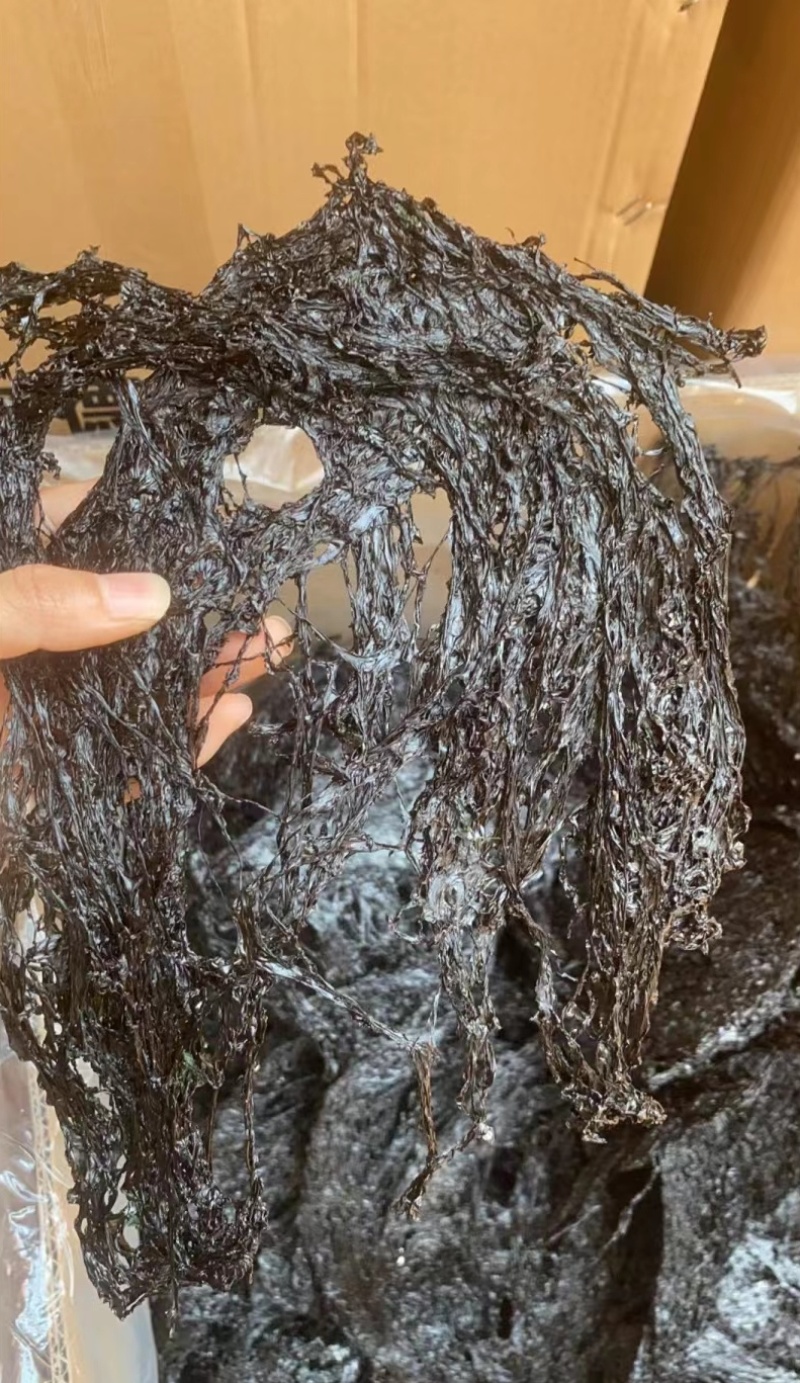 南日岛水紫菜干货无沙免洗特级紫菜散装紫菜