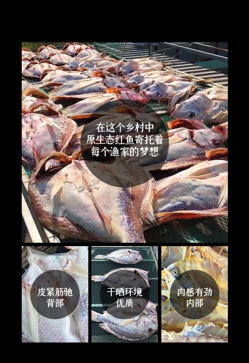 湛江特产野生海味干货新鲜渔民自晒黄鱼干香口咸鱼5条装海鲜