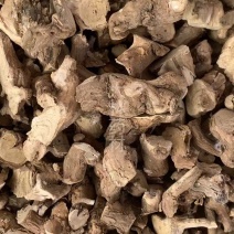 枸杞根【包邮】各种规格有货可批量可零售量大从