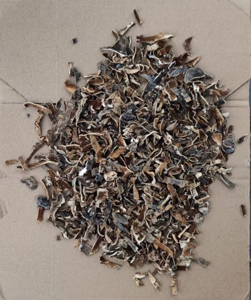 云芝，全检云芝，各种规格，