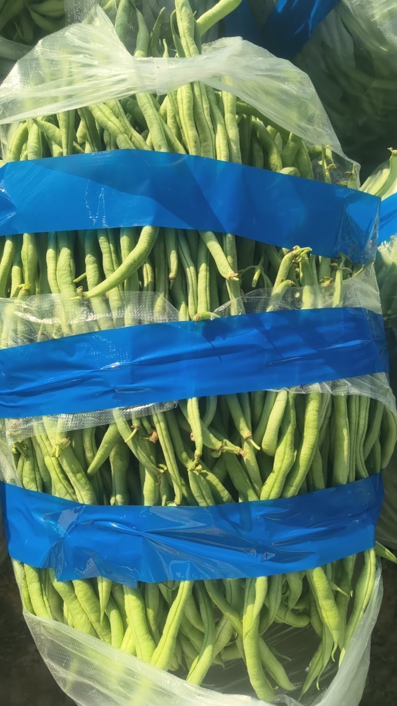 豆王