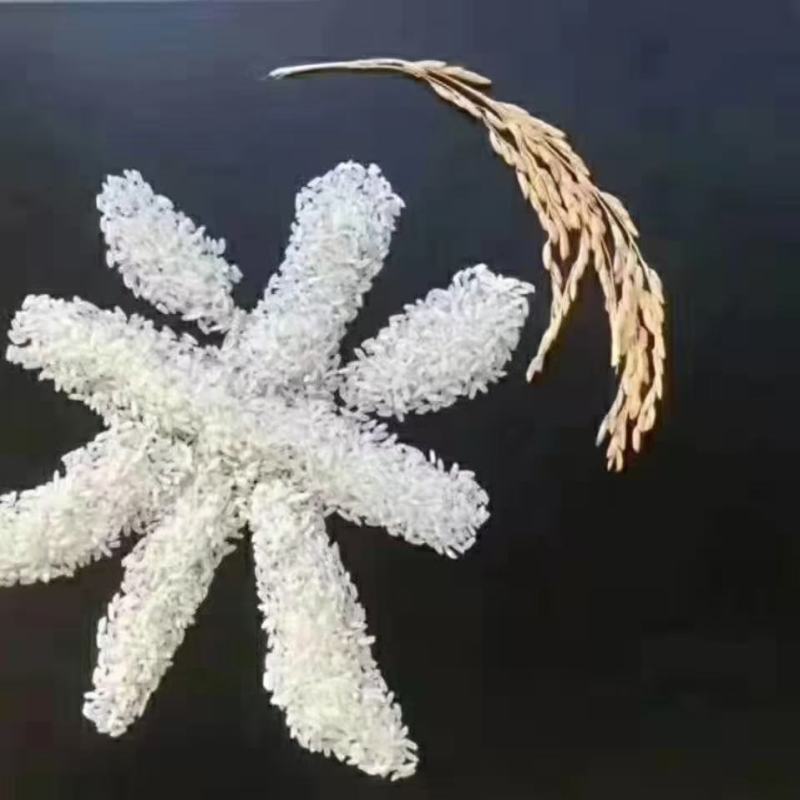 五常大米中科发五
