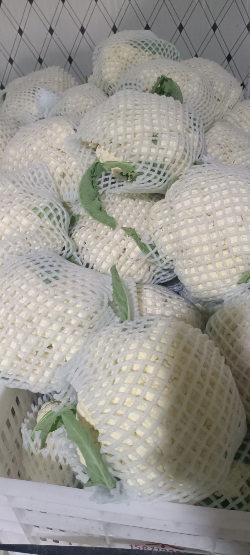 青梗精品有机花菜货源足，全国发货质量好，支持视频看货