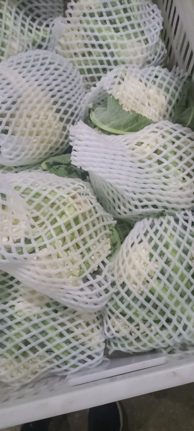 青梗精品有机花菜货源足，全国发货质量好，支持视频看货