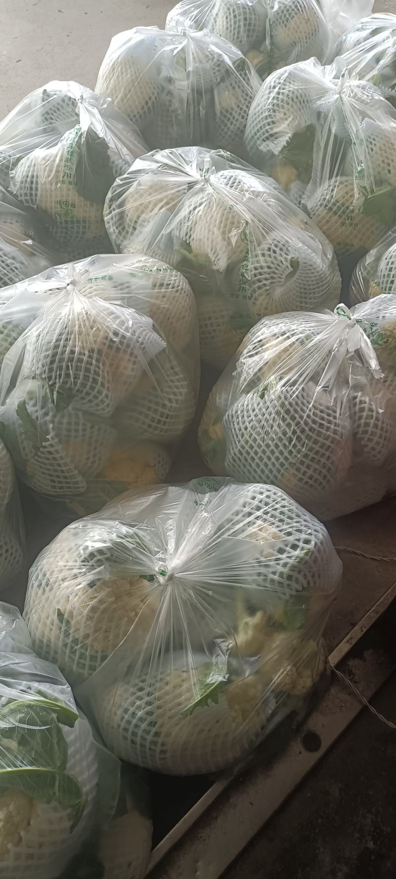青梗精品有机花菜货源足，全国发货质量好，支持视频看货