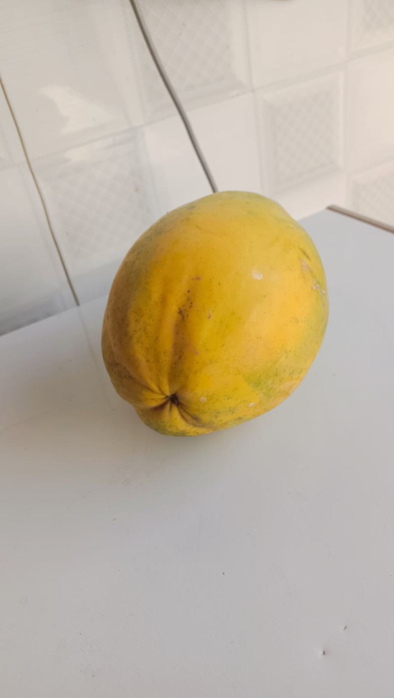 大青木瓜