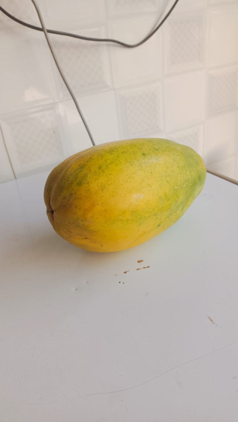 大青木瓜