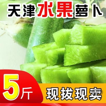 天津沙窝萝卜，天星02-天星二号水果萝卜，青萝卜北斗，