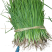 优质二红半高庄洋葱苗，抗病，颜色好看，高产，包回收