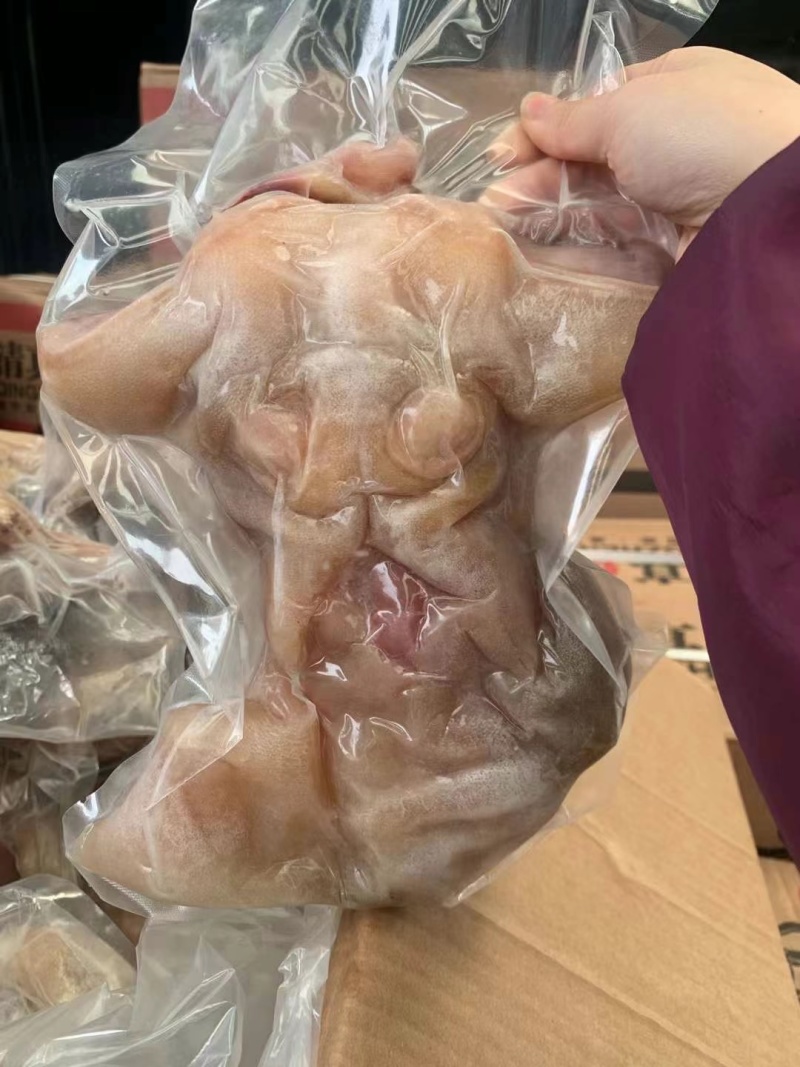 全熟干净无毛带筋去骨牛蹄