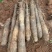 【黑鬼淮山药】广西基地直供质量保证货源充足全国发货