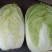 大白菜