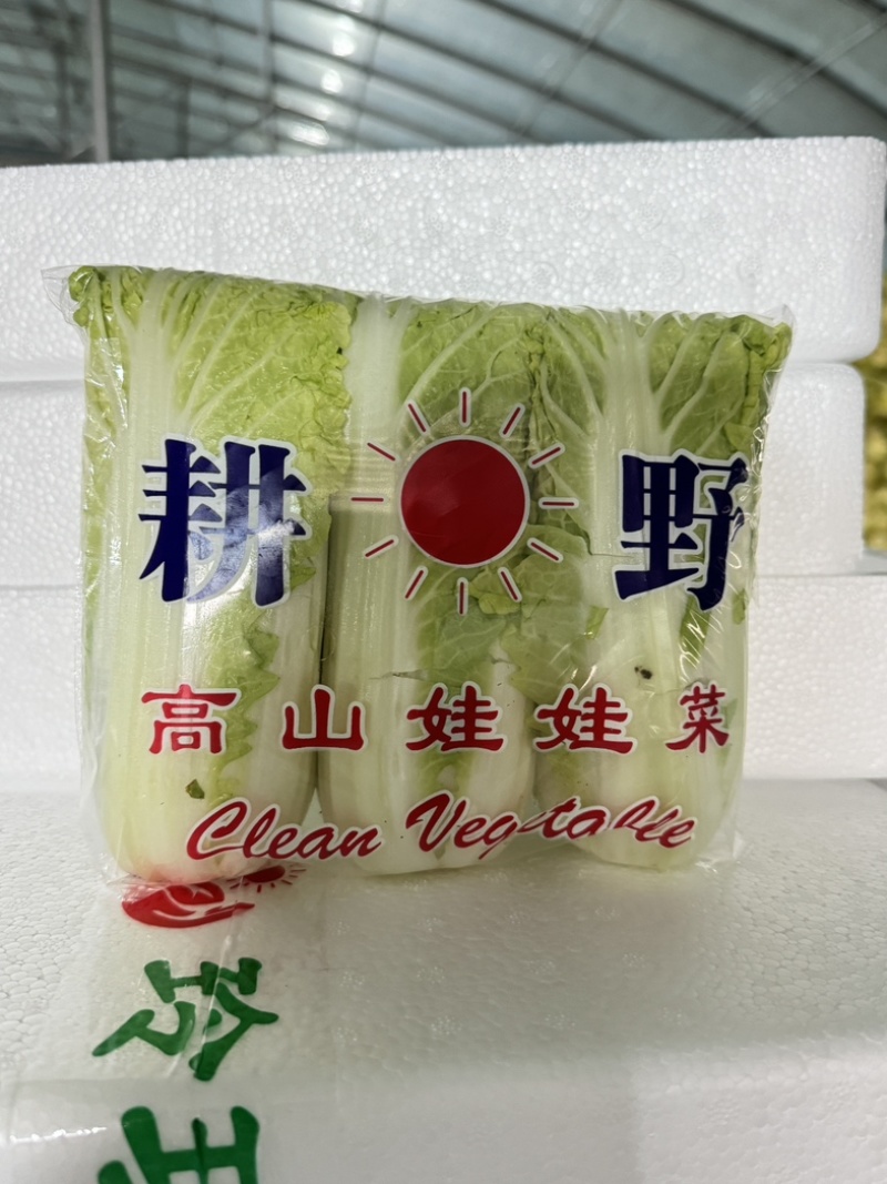 河南精品娃娃菜，对接电商货、市场货、超市生鲜配送