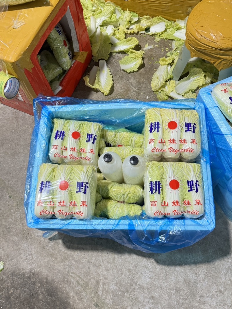 河南精品娃娃菜，对接电商货、市场货、超市生鲜配送