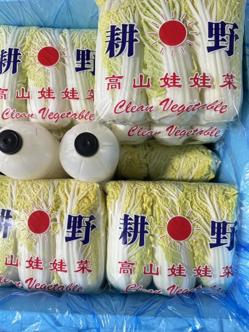 河南精品娃娃菜，对接电商货、市场货、超市生鲜配送