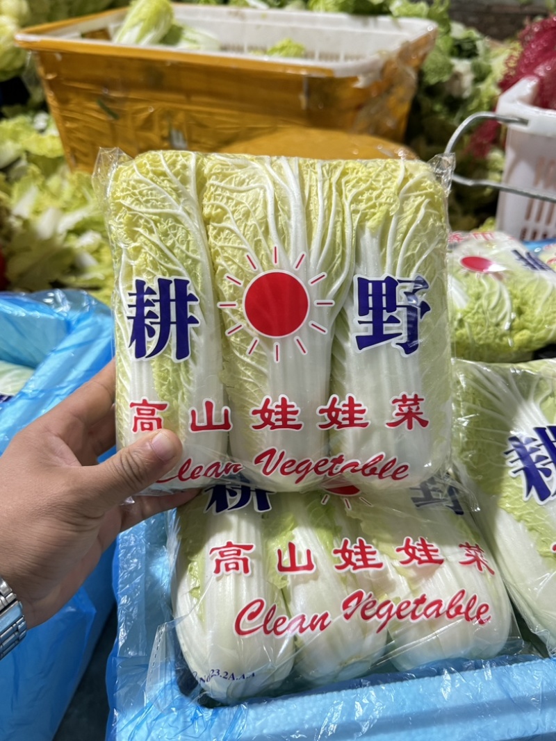 河南精品娃娃菜，对接电商货、市场货、超市生鲜配送