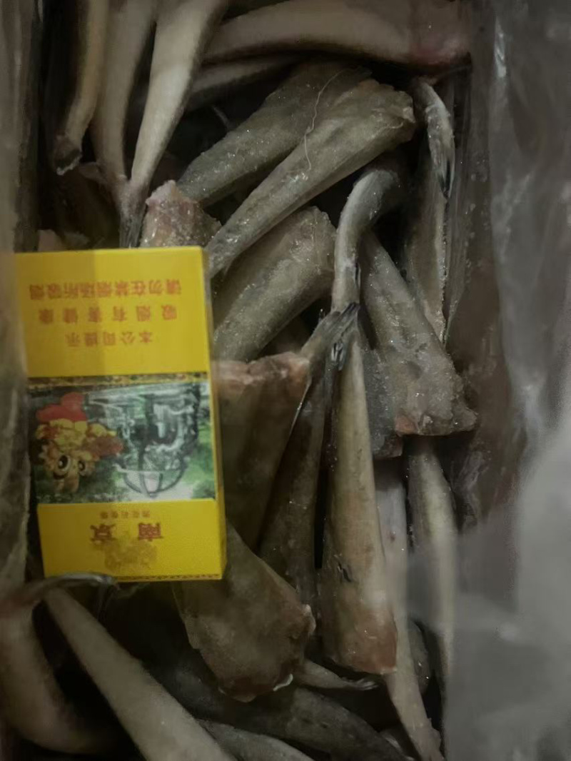 三去牛尾鱼营养丰富肉质鲜美口感爽滑出肉率高产地直发