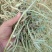 花生秧草料大量批发袋子或者压块无土无膜无霉变