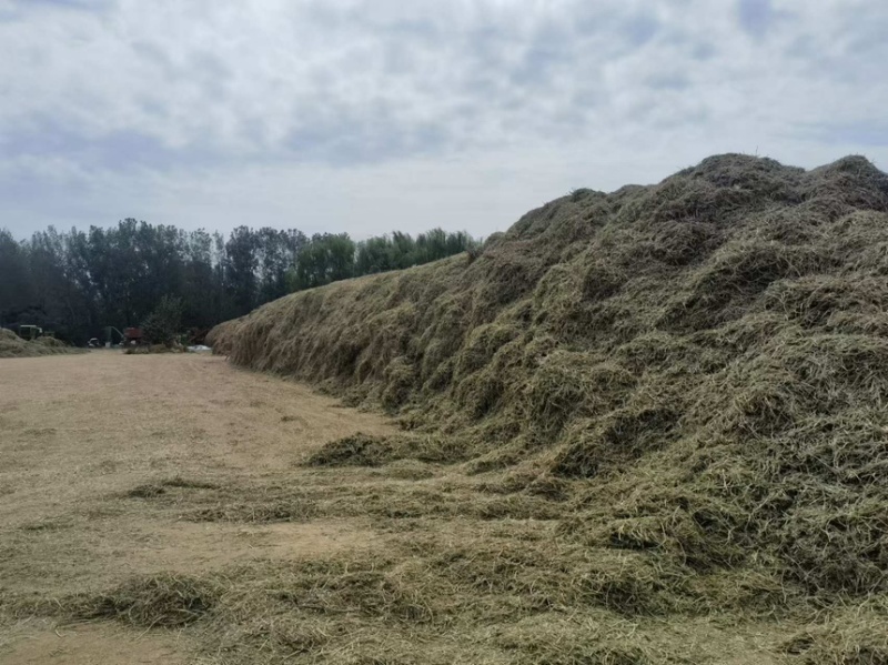 花生秧草料大量批发袋子或者压块无土无膜无霉变