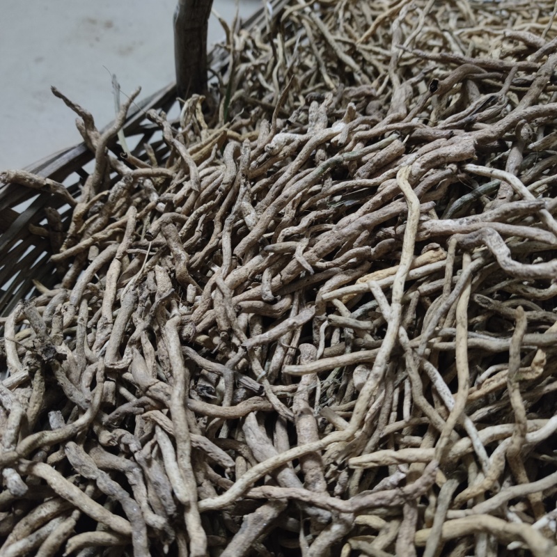 兰花草根土续断兰根幽兰根白净鲜货山货中草药包邮发货