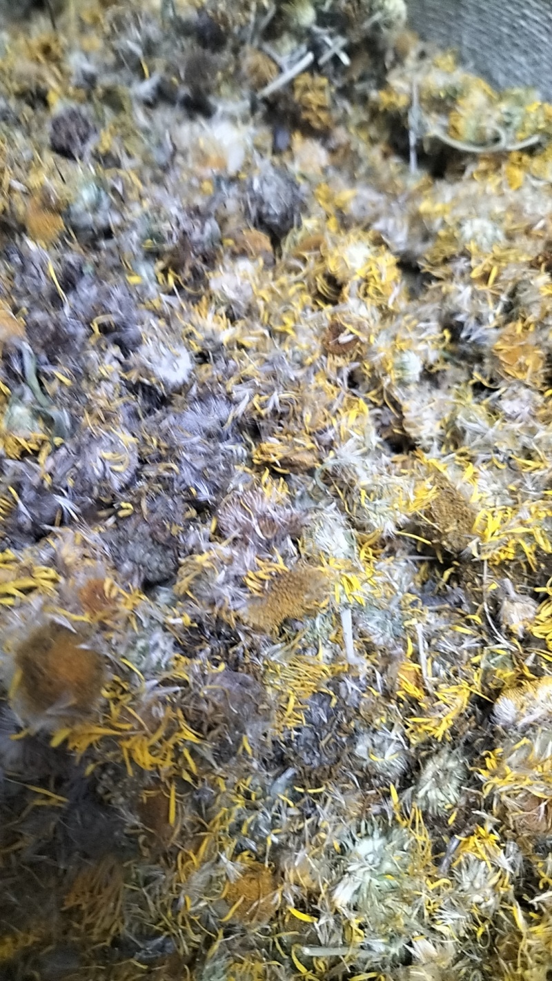 旋覆花，干度好，保证质量，产地直发，一手货源