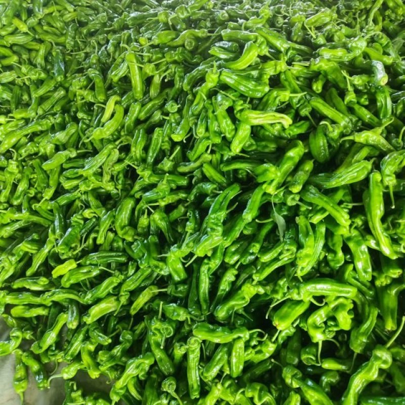 《推荐》《精选》芜湖椒大量供应产地直发一手货源