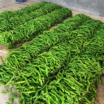 《推荐》《精选》螺丝椒大量供应货源充足