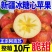 新疆冰糖心红富士