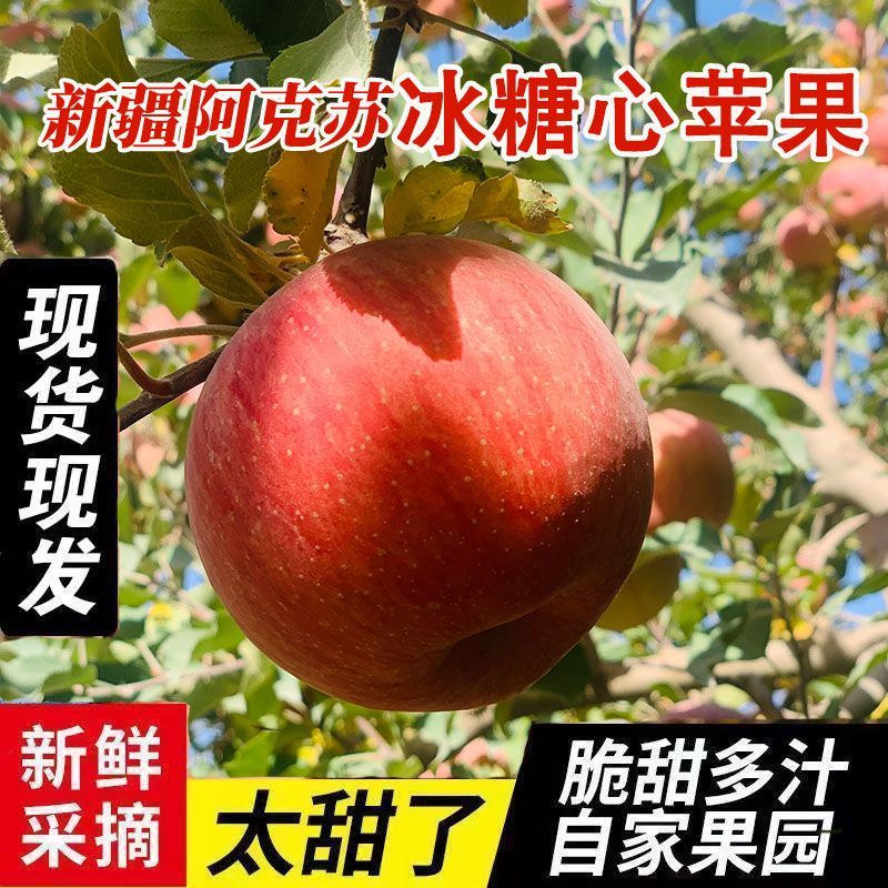 新疆冰糖心红富士