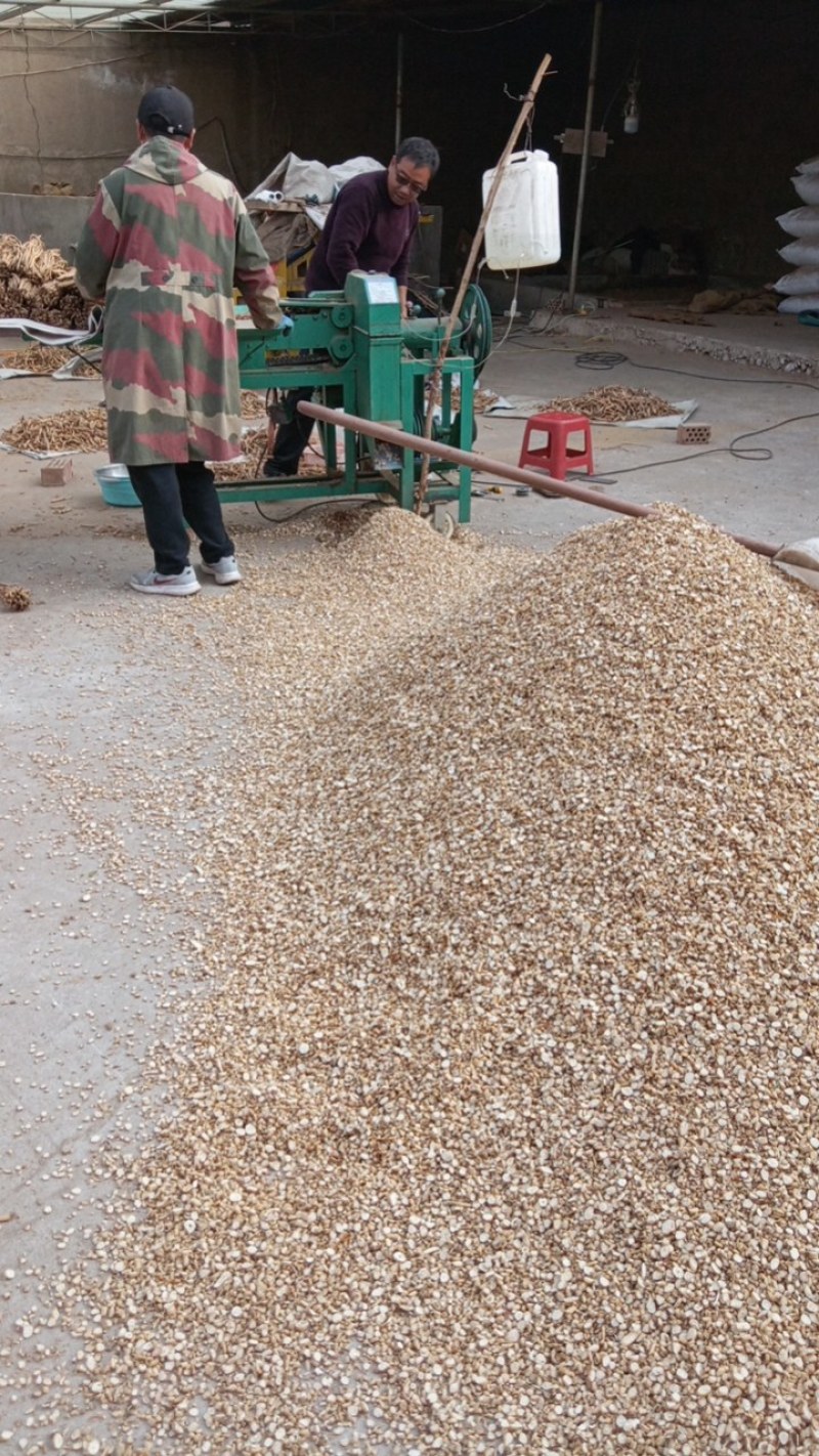 今年的新货白条党参圆片。已加工好