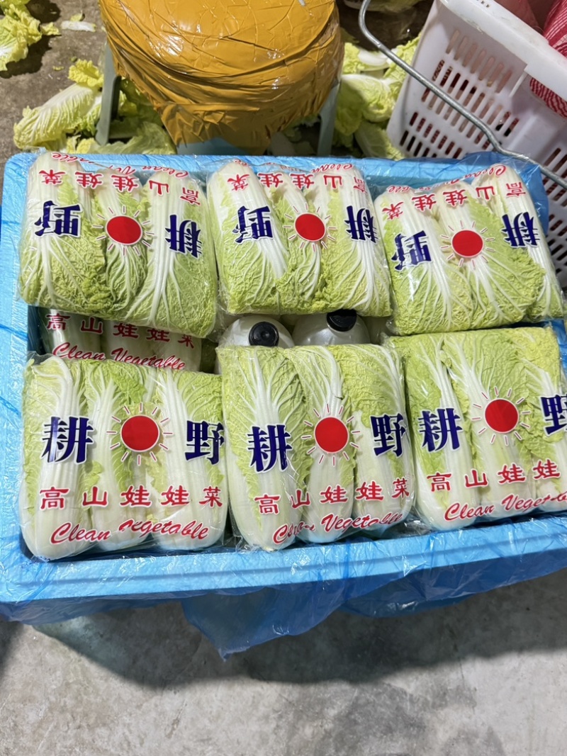 《实力推荐》河南精品娃娃菜，基地直供货源充足，保质保量