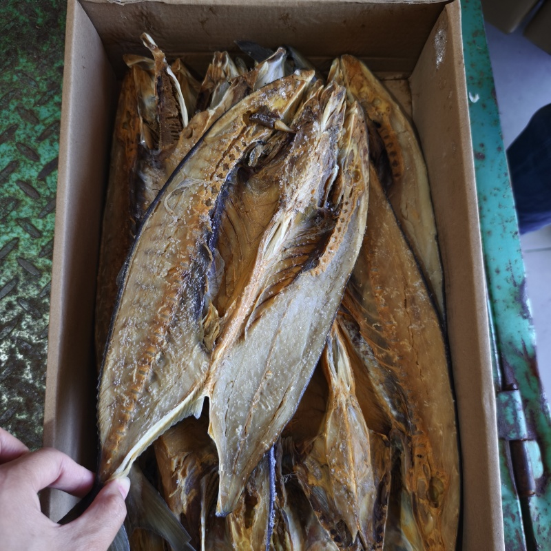 黄金鲅鱼，现货批发，净10斤一斤。价格便宜走量的一款咸鱼