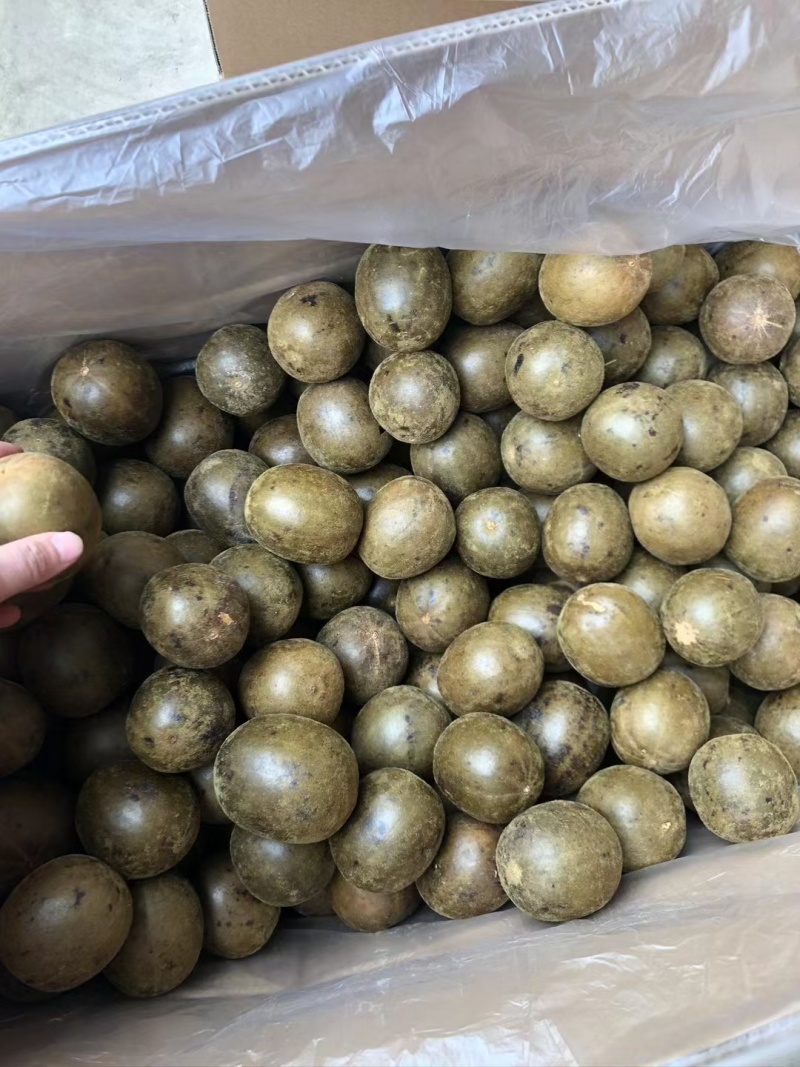 广西特产罗汉果产地直发