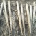 双棒麻山药