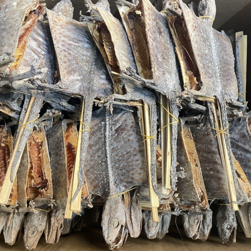 大壁虎蛤蚧源头厂家货源充足