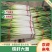长白和铁杆大葱0.56元大量上市40cm以上，量大优