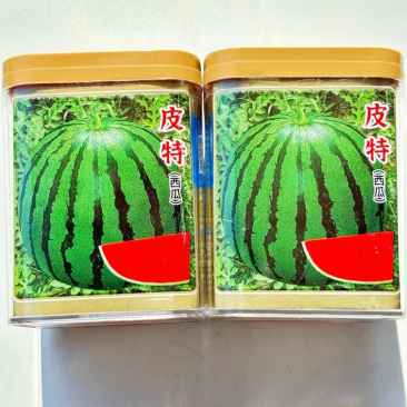美国皮特西瓜种子深绿花皮耐雨水