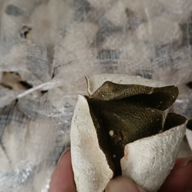 正品陈皮货源无忧无杂质健康选择