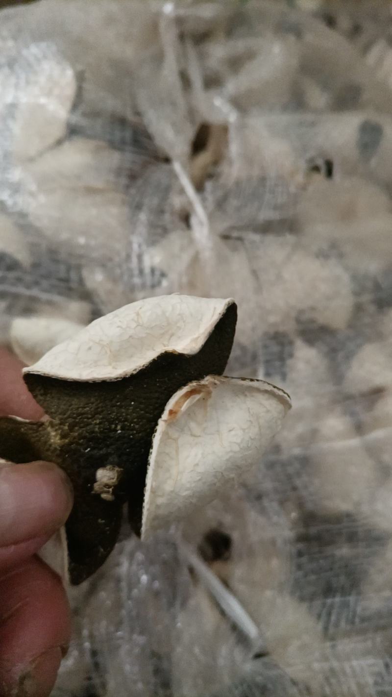 正品陈皮货源无忧无杂质健康选择