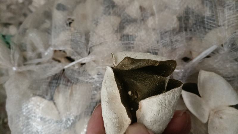 正品陈皮货源无忧无杂质健康选择
