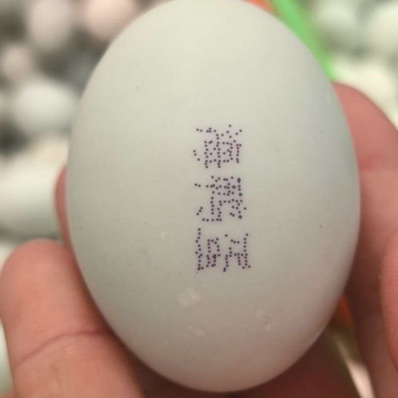 红心蛋黄流油咸鸭蛋厂家直销批发咸鸭蛋