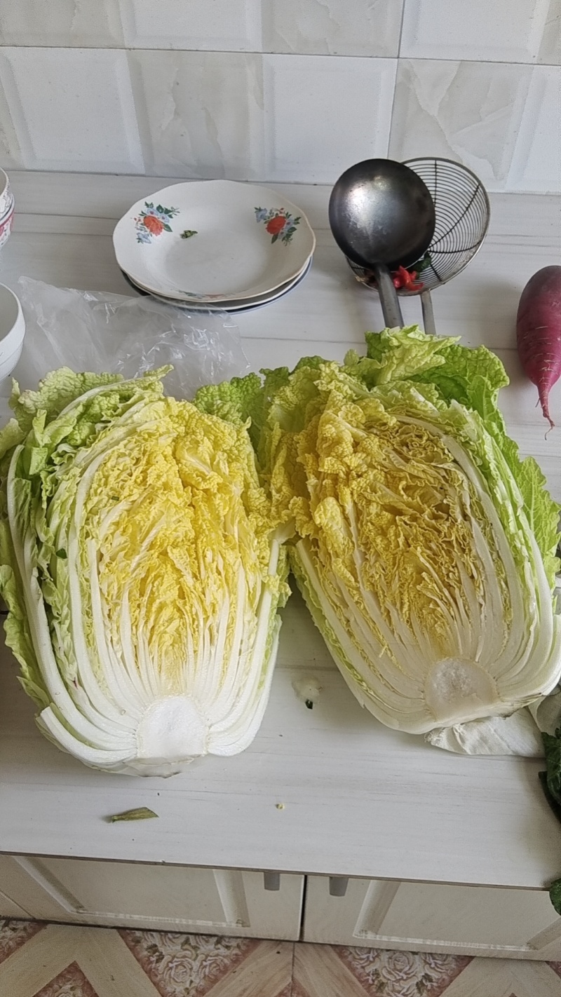 精品大白菜
